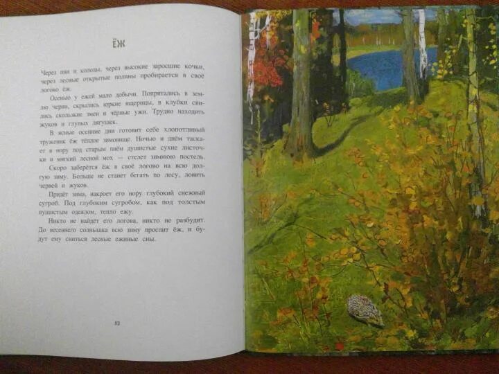 Рассказы это было в лесу. Рассказы это было в лесу