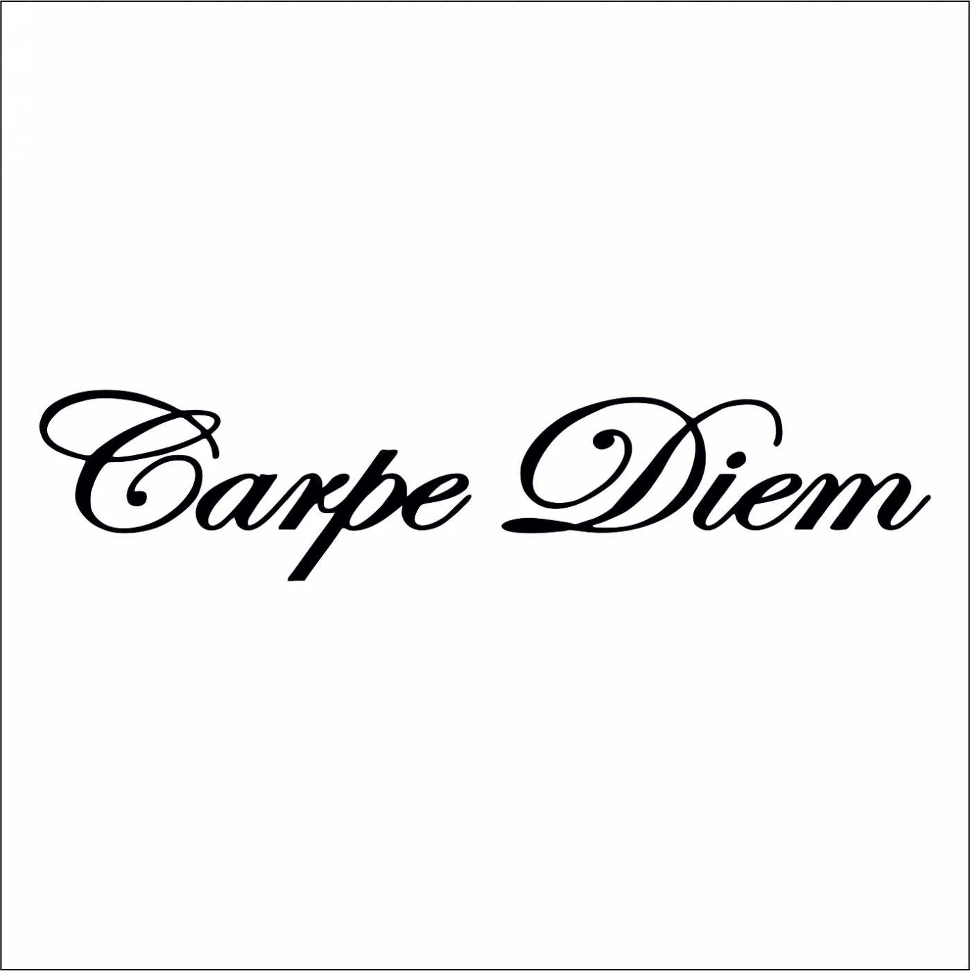 Carpe diem текст. Наклейки на авто надписи. Carpe Diem наклейка. Красивые надписи наклейки на авто. Наклейка на машину Carpe Diem.