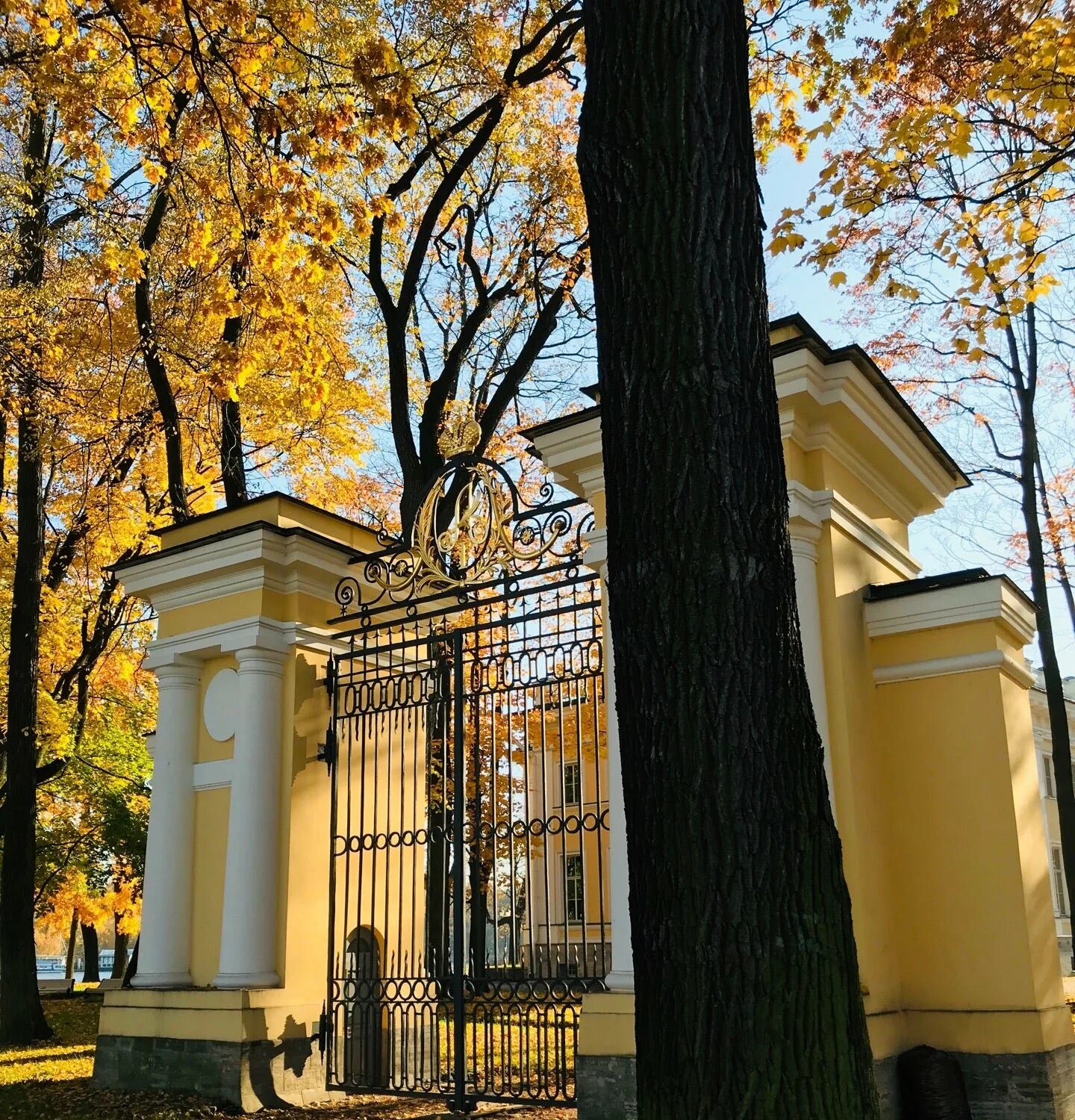 Академия талантов на каменном острове. Академия талантов малой невки. Академия талантов. Каменноостровский дворец наб. Набережная малой невки 1.
