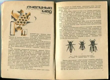 Содержание нектара