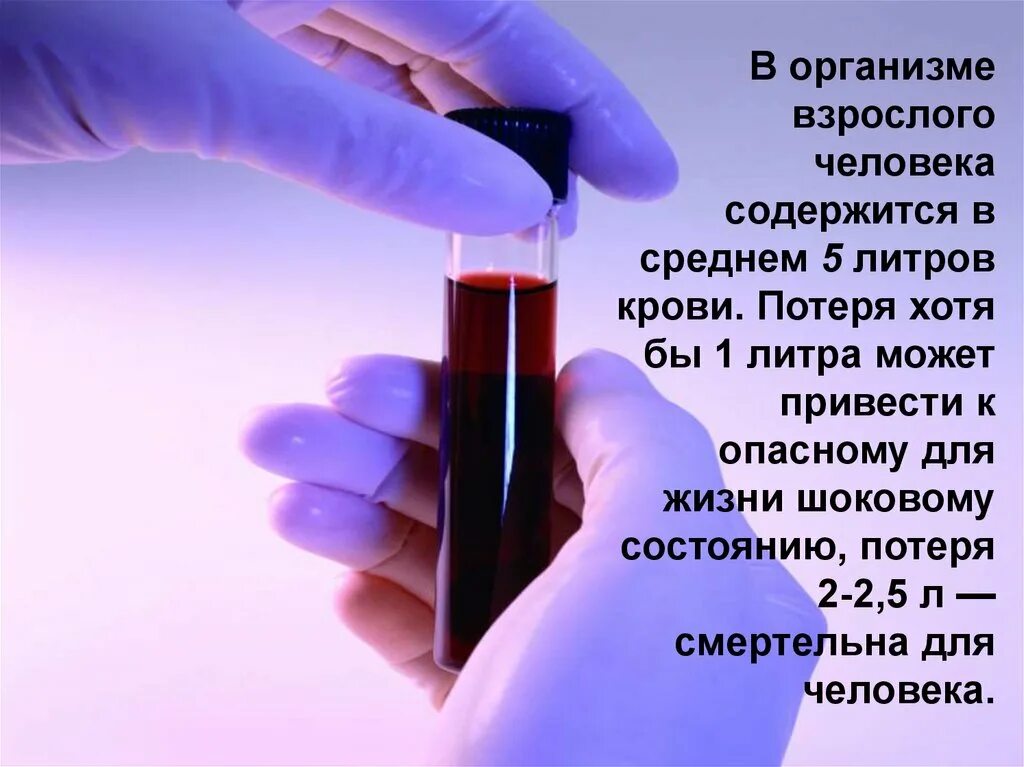 Сколько л крови. Сколько можно потерять крови. В организме человека литров крови. Смертельный объем потери крови.