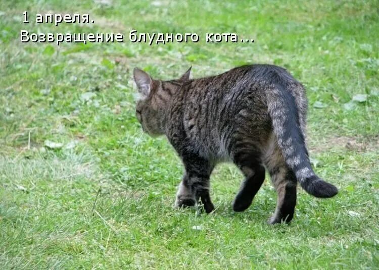 Его и сама выгоню