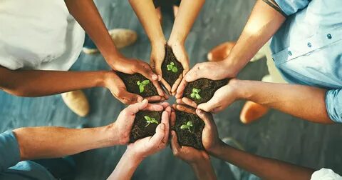 People do more for the environment