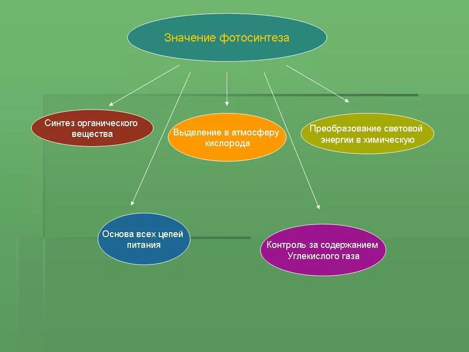 Роль фотосинтеза. Значение фотосинтеза. Роль фотосинтеза в жизни. Роль фотосинтеза в природе. Роль фотосинтеза для человека
