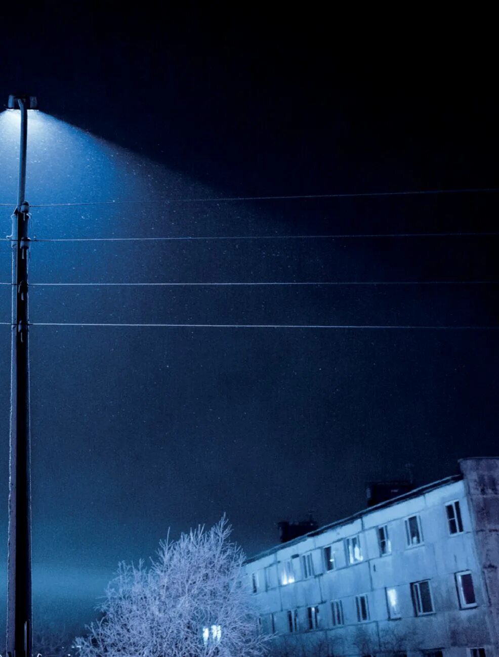 1 сад полярный. 1 сад полярный. 1 сад полярный. Полярный мурманская область детский сад сказка. Ночь в зимнем саду полярный.