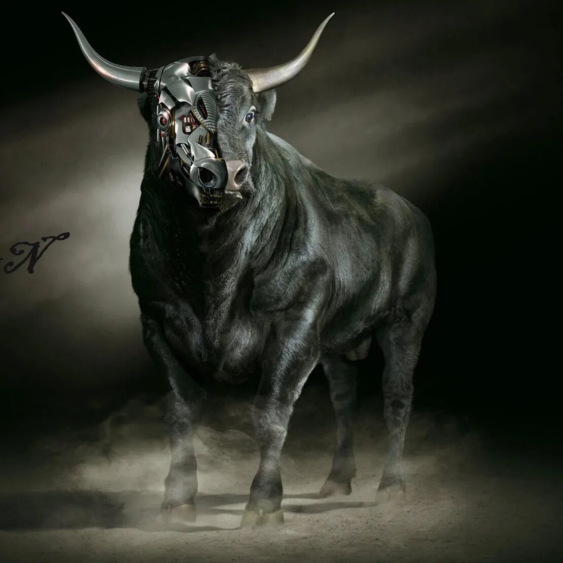 Таурус бык Телец. Злой бык. Мощный бык. Высший телец
