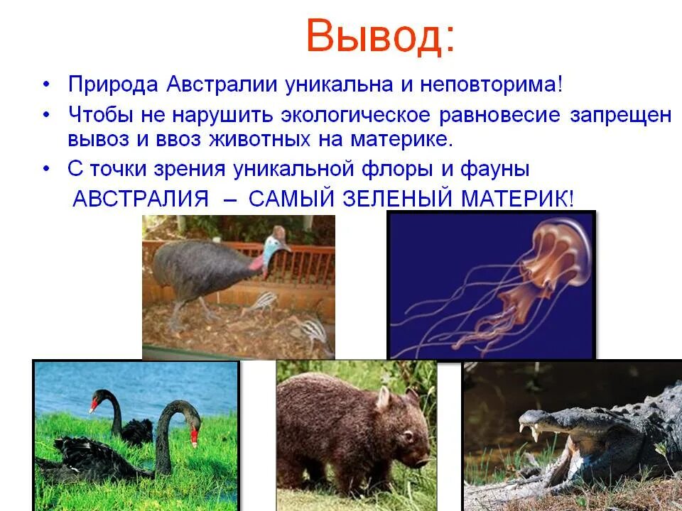 Какие растения и животные встречаются в австралии. Сообщение о флоре и фауне австралии. флоры и фауны сообщение.