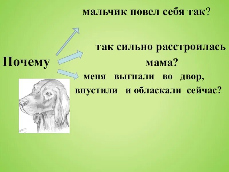 Про что рассказ почему. Конспект урока в. Осеева «почему?». Осеева почему план 2 класс. Осеева почему картинки. Осеева почему.