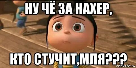 Че я за тип майот