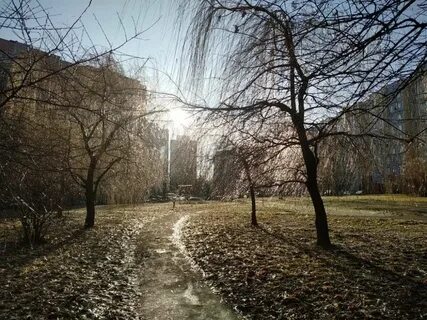 Теплая погода в ноябре