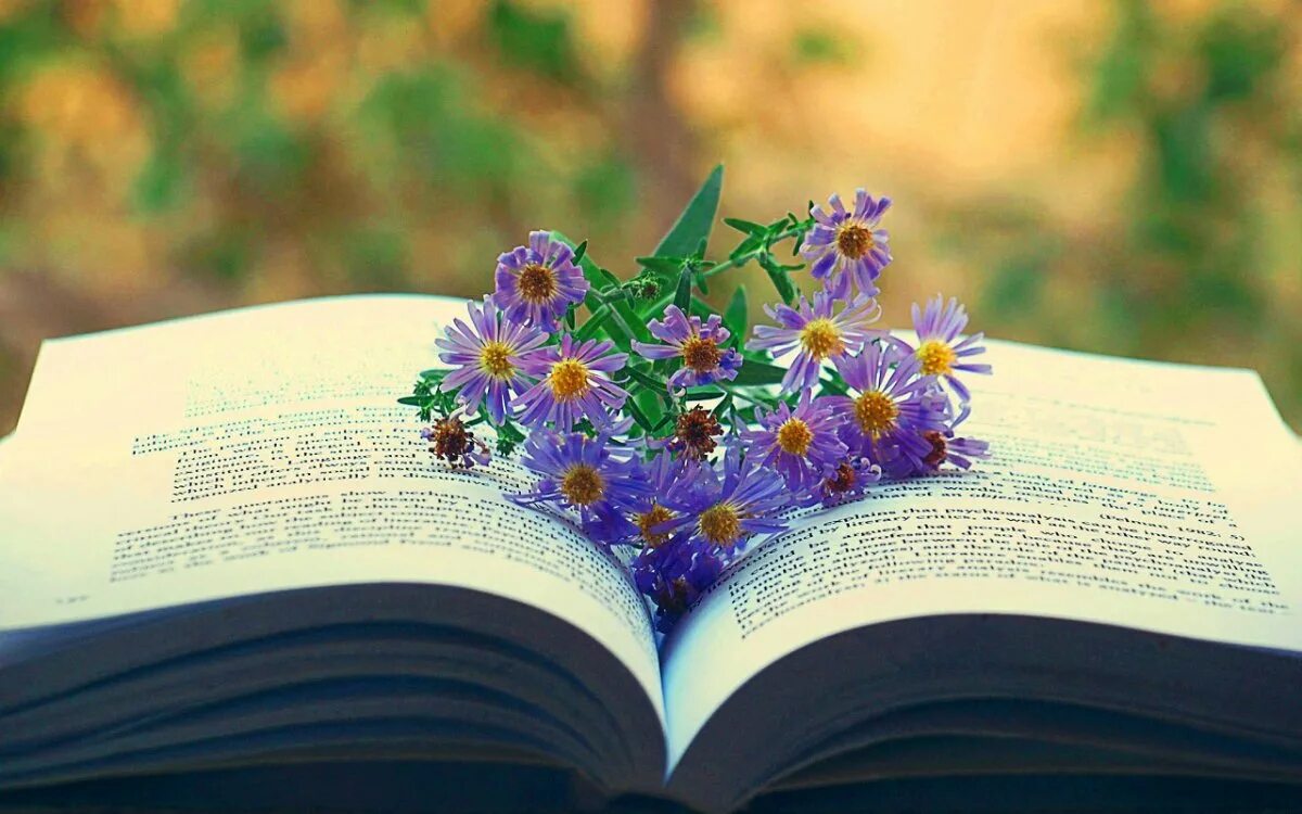 Исполнять раскрытый. Книга цветы. Лето с книгой. Цветы в книжке. Книга про цвет.