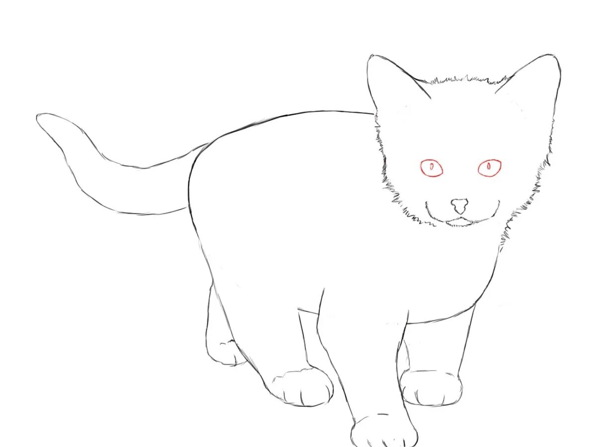 Как нарисовать катнапа. Рисунок кота для срисовки. Рисунок кошки для срисовки. Котик лёгкий рисунок для срисовки. Рисунок кошки для срисовки легкие.