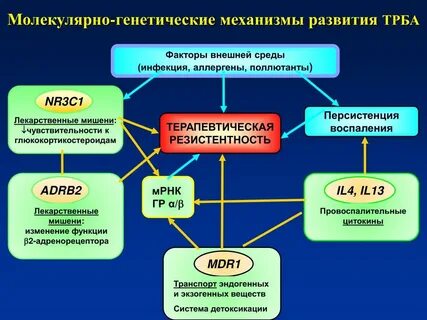 Генетический механизм