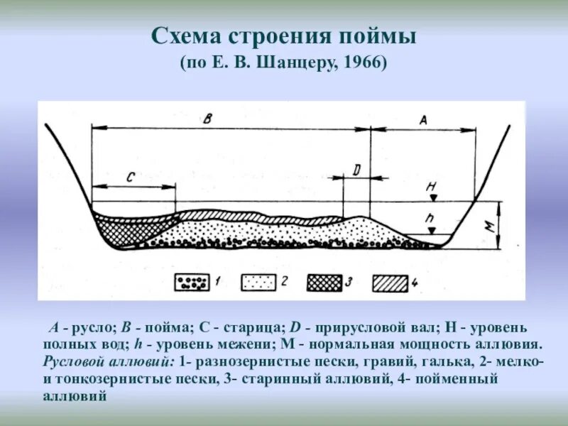 Ширина русла рек. Русло реки Пойма Речная Долина. Схема строения Поймы. Строение Речной Поймы схема. Строение Поймы реки схема.