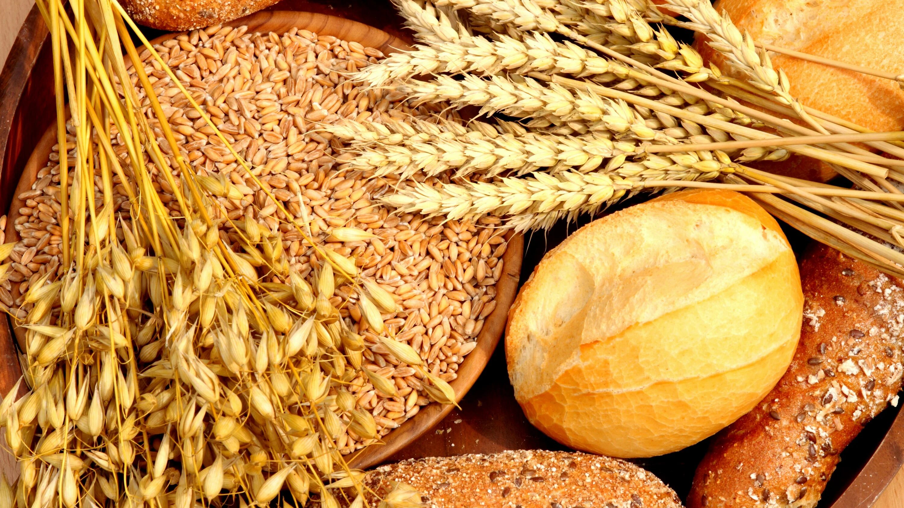 Зерновые культуры. Пшеница зерно. Зерна злаков. Хлебный злак.