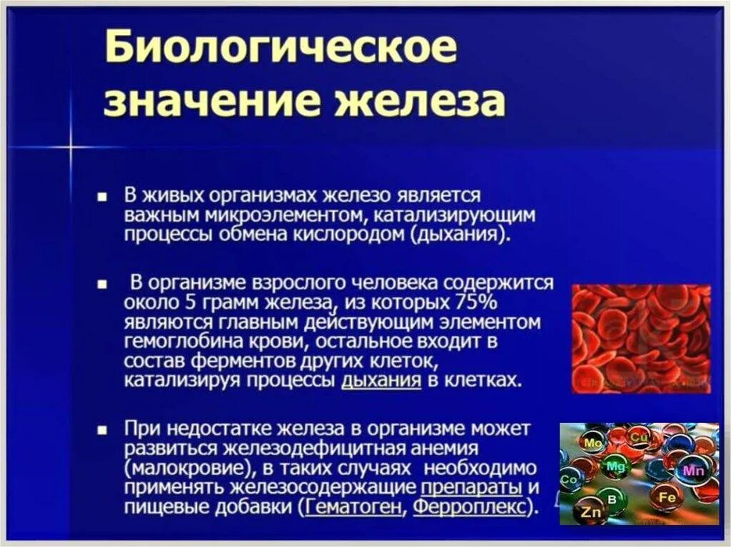 Роль элемента железа в организме. Роль железа в организме человека. Биологическая роль железа. Элемент железо в организме человека.