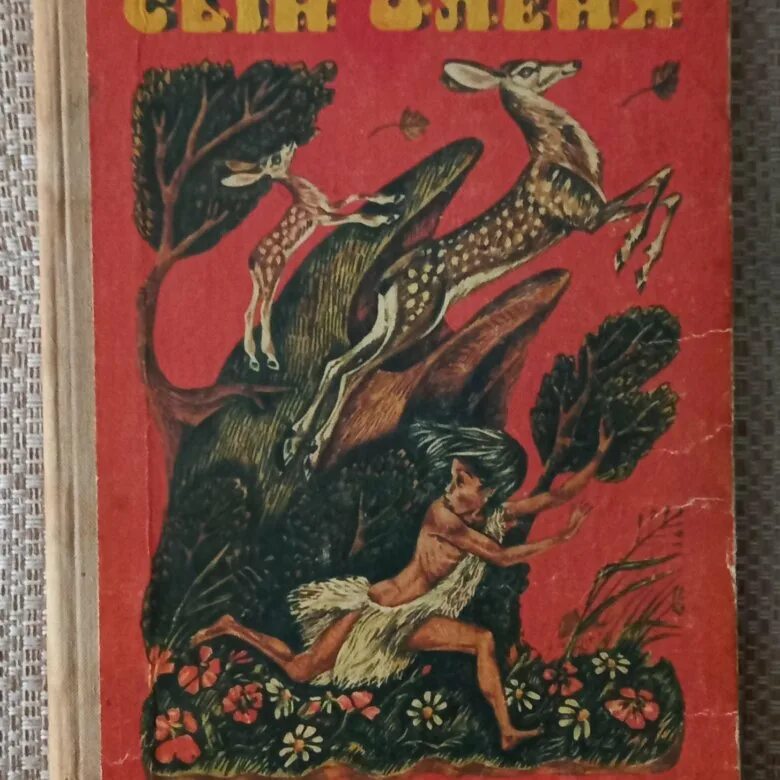 Сын оленя. Абхазские народные сказки детская литература. Абхазские сказки книга. Сын оленя. Абхазские народные сказки книга. Абхазские народные сказки книга СССР.