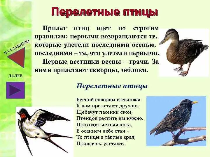 Перелетные птицы. Перелетные птицы для детей. Первые прилетные птицы. Рассказ о при лётных птиц.