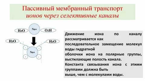 Пассивные мембраны