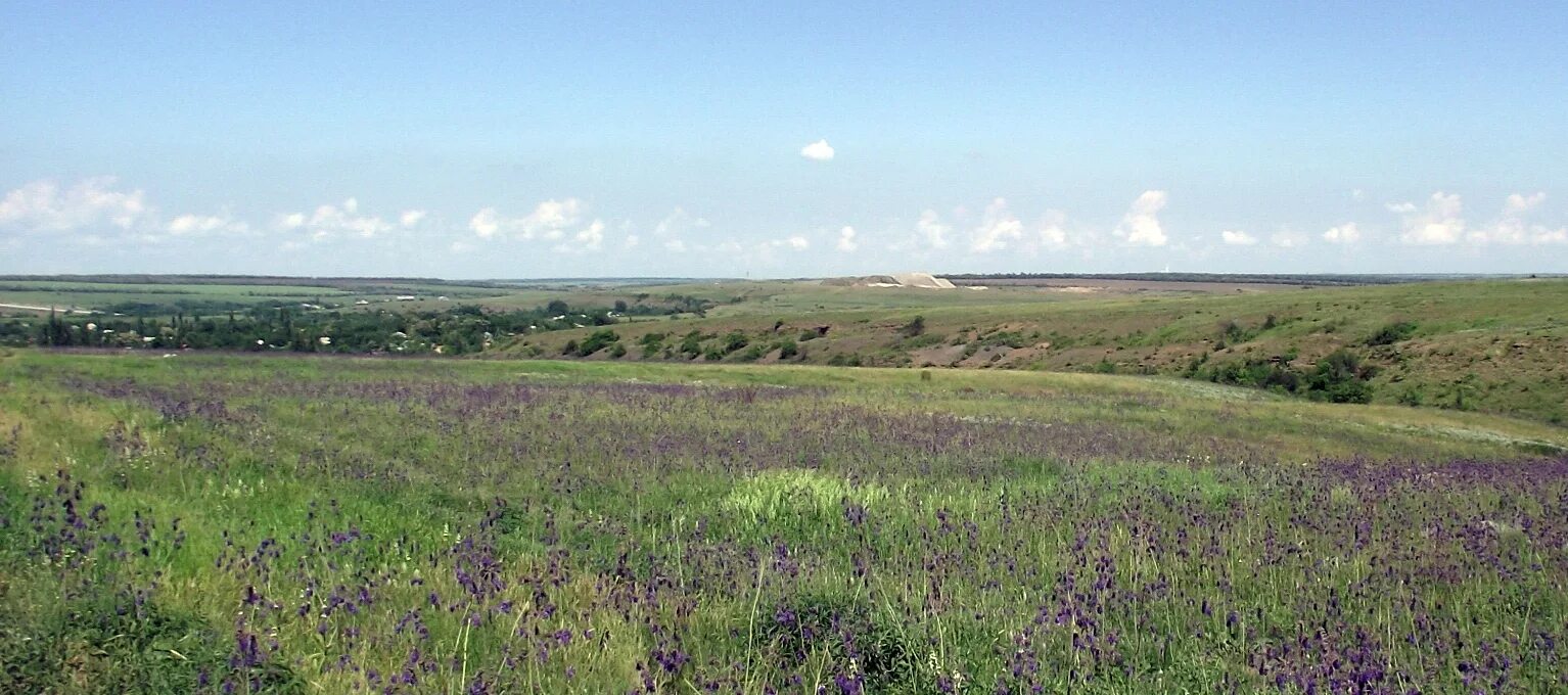 Село зашло. Прохоровка Красносулинский район. Прохоровка Каневского района. Село Прохоровка Черкасская обл. Прохоровка Украина Каневский район.