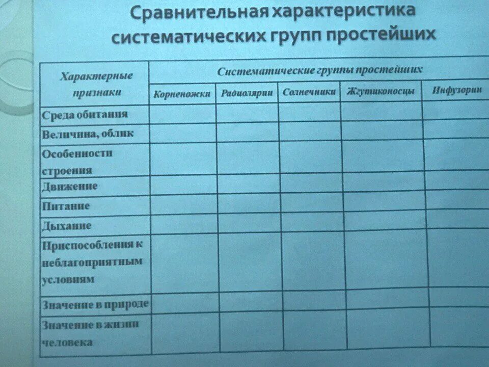 Сравнительная таблица простейших 8 класс Таблица сравнение характерных представителей простейших 8 класс