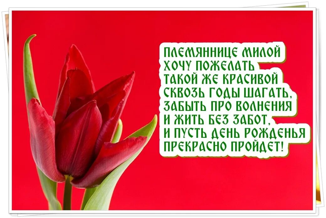 Пожелание племяннице своими словами. Поздравление племяннице. Поздравления с днём рождения племяннице. Стихи с днём рождения племяннице. Стихотворение на день рождения племяннице.