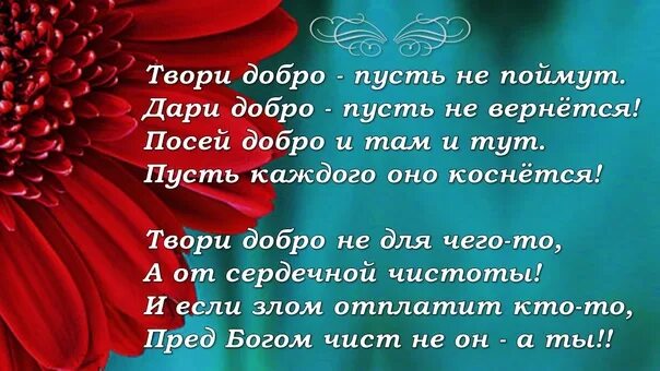 Волонтеры дари добро нск. Дари добро оно вернется. твори добро пусть не вернется. дари добро твори добро. дарите добро оно возвращается.