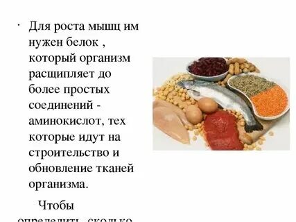 Белки какая ткань