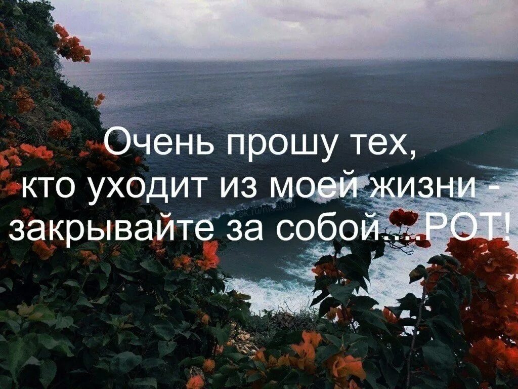 Статусы не проси. Цитаты уходя из моей жизни. Благодарю жизнь цитаты. Уйти цитаты. Люди уходят цитаты.