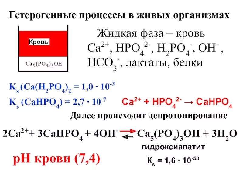 Са нсо3 2 t c. Гетерогенные реакции. Гетерогенные процессы. Гетерогенные реакции в растворах электролитов. Фракции гетерогенная.