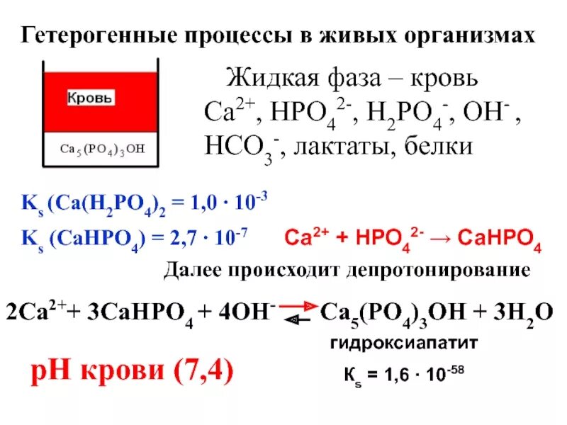 Гетерогенные реакции. Гетерогенные процессы. Гетерогенные реакции в растворах электролитов. Фракции гетерогенная. Са нсо3