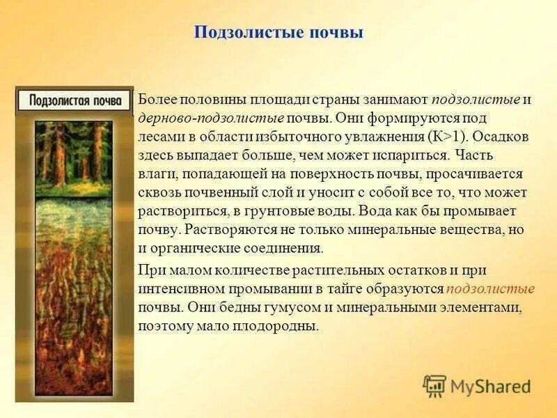 подзолистые почвы образуются в. подзолистые почвы испаряемость. подзолистые почвы испаряемость. условия образования подзолистых почв. каштановые и подзолистые почвы.