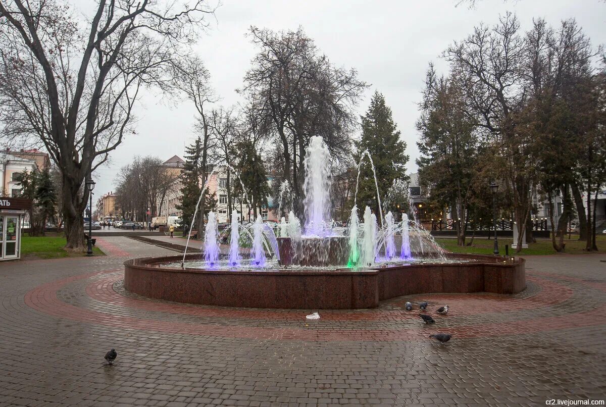 Погулять брянске. Сквер Тютчева Брянск.