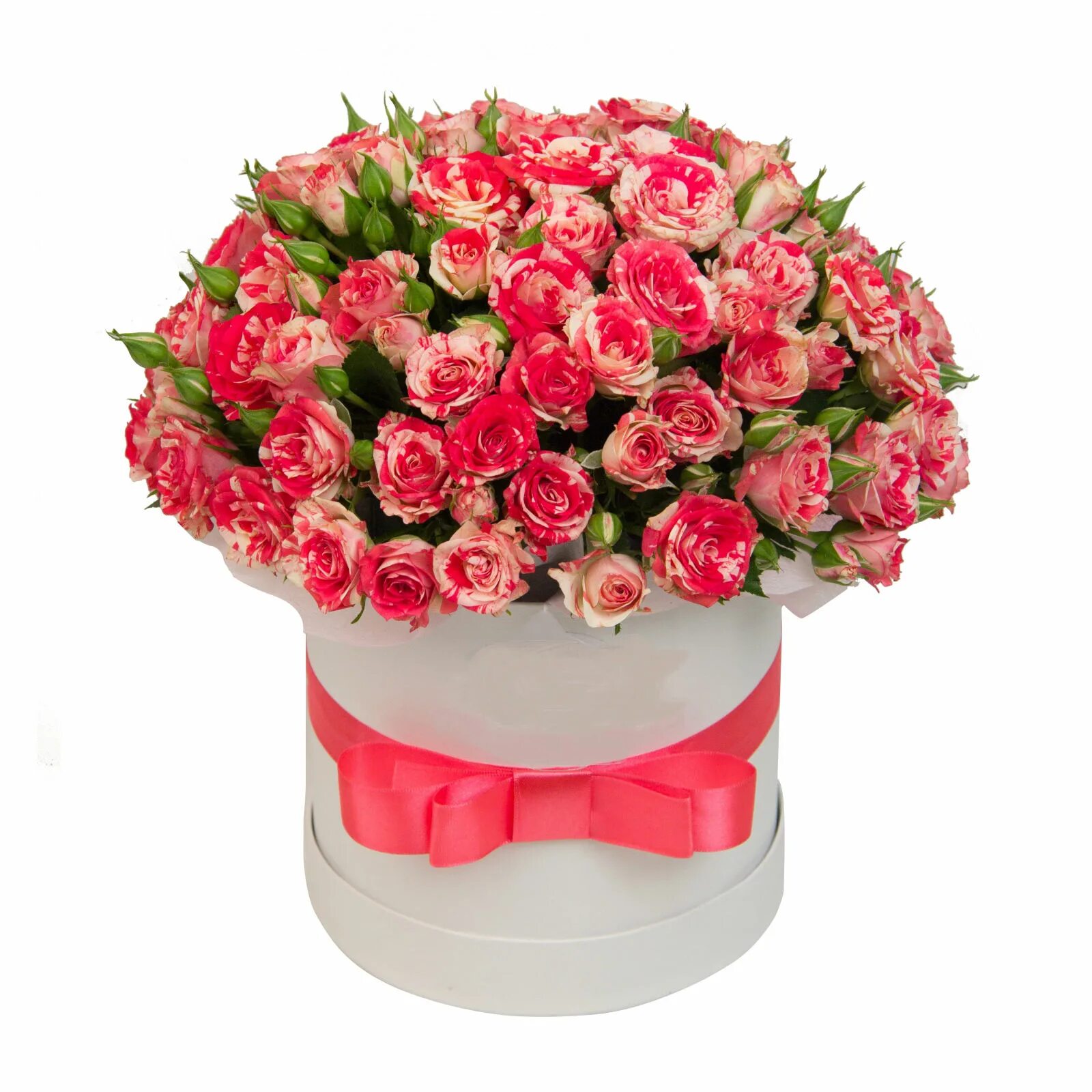 Доставка цветов роз заказать. Кустовые розы букет в шляпной коробке. Букет из кустовых роз в шляпной коробке. Букет из кустовой розы в коробке.