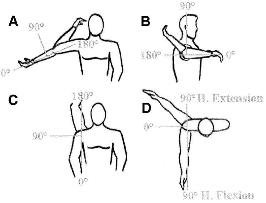 Shoulder flexion. Extension flexion Shoulder. Arm flexion and Extension в аквааэробике. Упражнение foarm flexion аквааэробика. Back angle