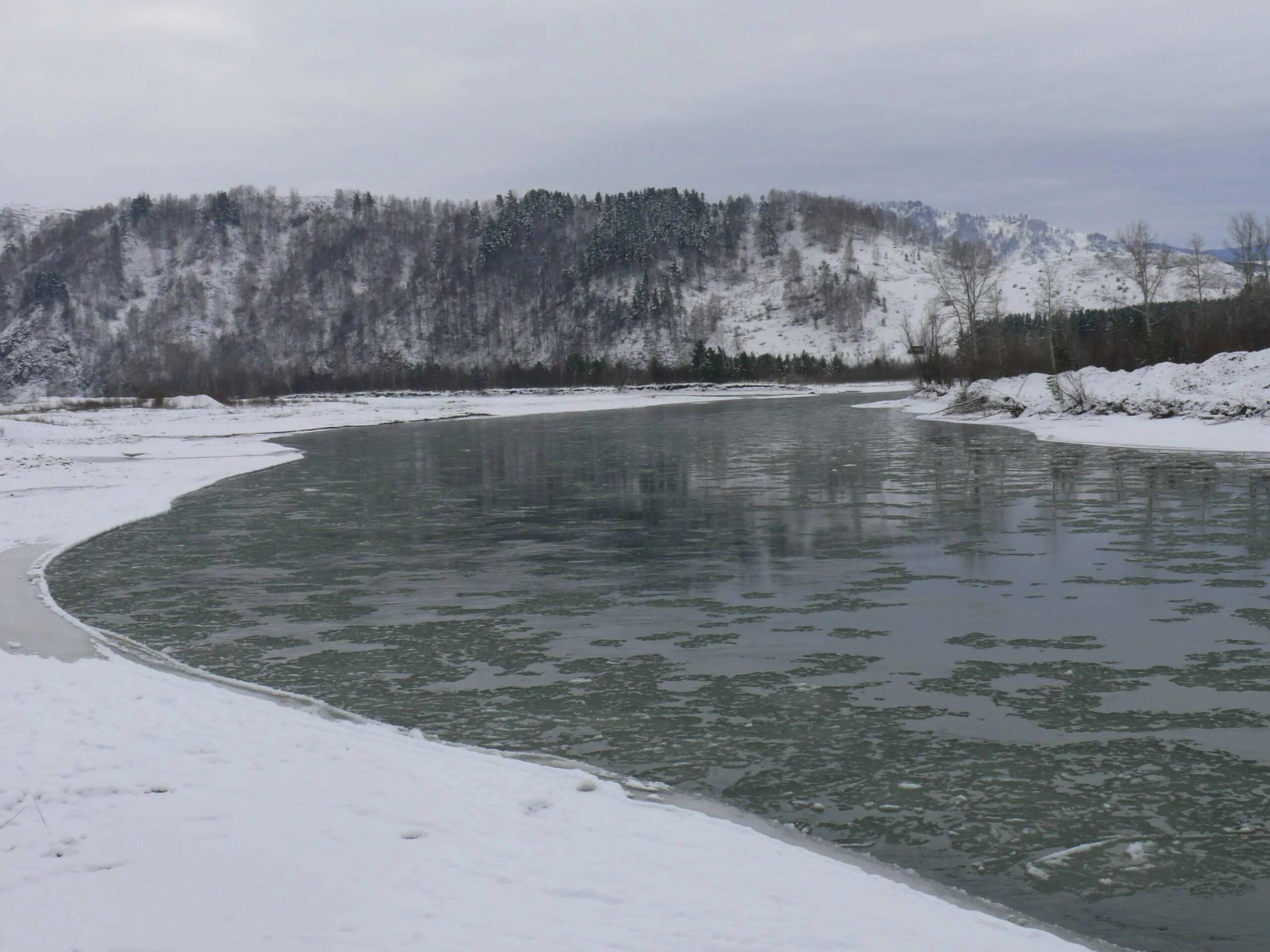 Уровень воды в чарыше на сегодня. Река Чарыш зима. Горный Чарыш. Река Чарыш Алтайский край. Горный Чарыш Алтайский край зимой.