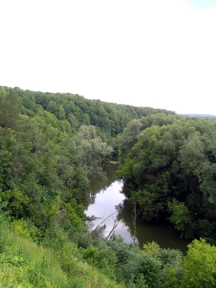 Моторная лодка казанка 2м. Казанка алтайский край. Исток реки казанка. Лодка казанка 5м. Казанка 2м с булями.