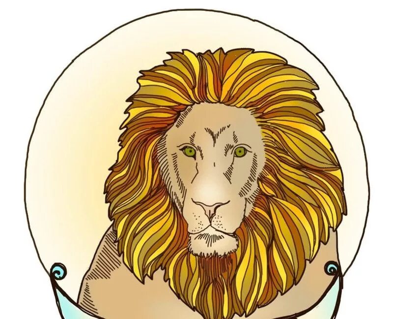 новорождённые львята. африканский лев в зоопарке. детеныш льва. только что родившийся львенок. домашний львенок.