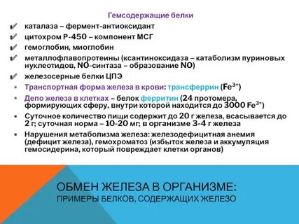 Фермент каталаза содержится во всех живых организмах