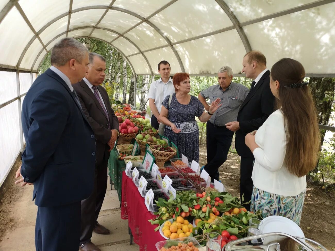 РУП "институт плодоводства". Плодопитомник Самохваловичи. Институт овощеводства Самохваловичи. Самохваловичи магазин саженцев.