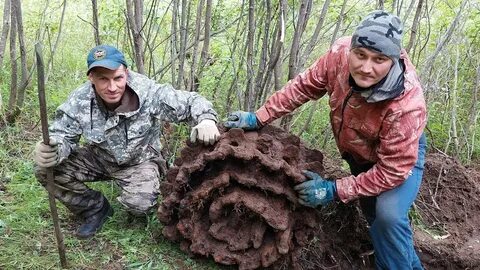 Металлокоп видео