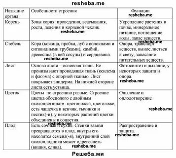 Функции главных органов растения