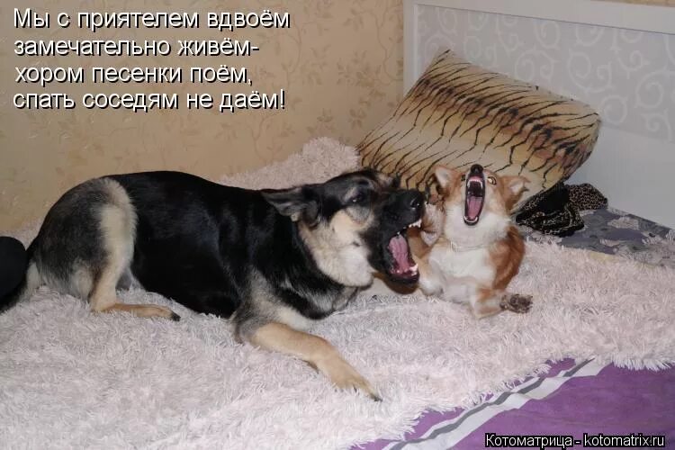 Михалков мы с приятелем. Сергей михалков мы с приятелем. Мы с приятелем вдвоем очень весело. Михалков мы с приятелем. Михалков сергей владимирович мы с приятелем.