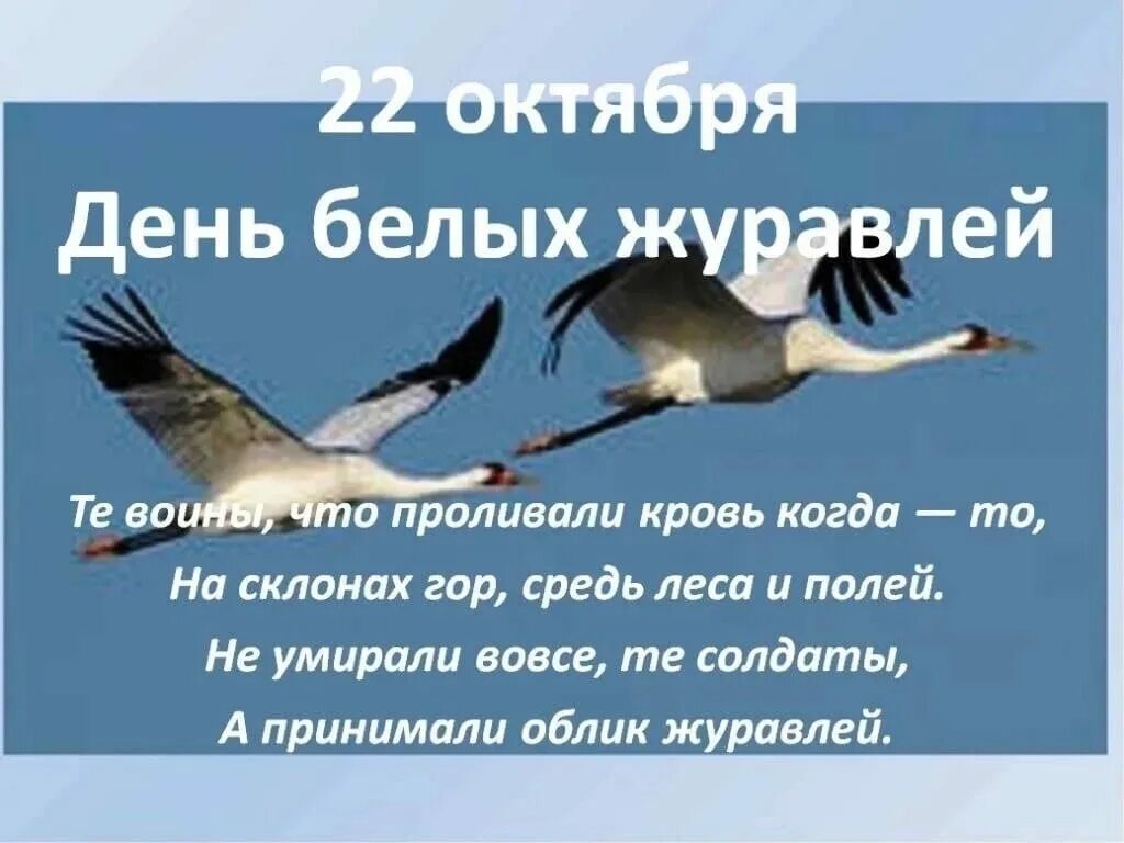 22 октября д. День белых журавлей. Праздник белых журавлей. День белых журавлей 22 октября. Белый журавль.