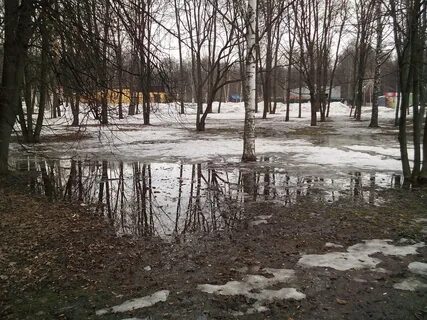 Снег растает и тогда за белой