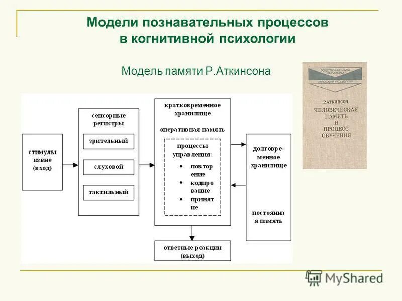 8 познавательных процессов. Модели памяти в когнитивной психологии. Модели памяти Аткинсона-Шиффрина кратко.