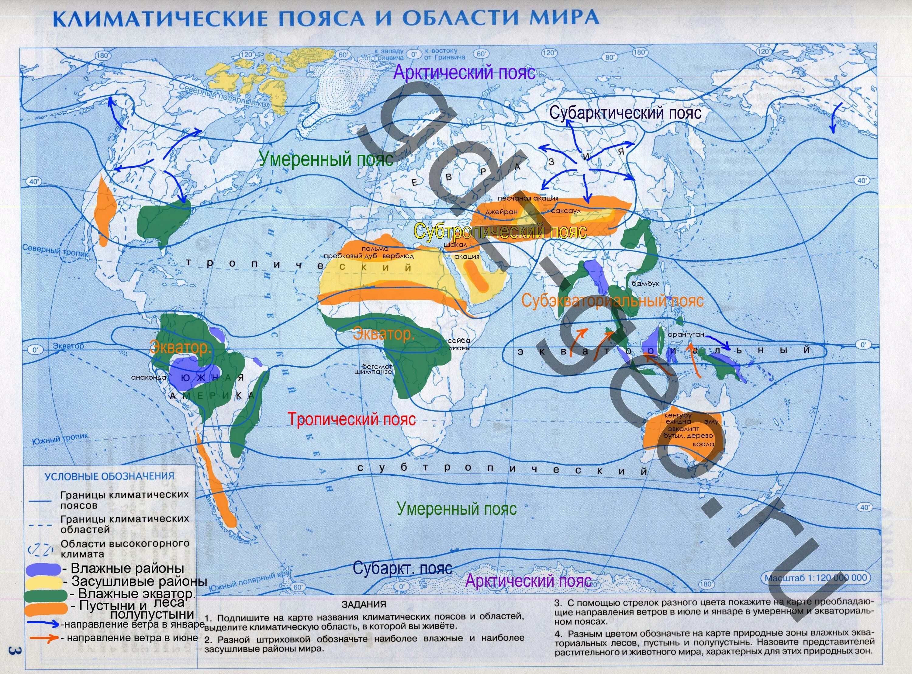 Контурная карта по географии 7 класс климатические пояса.
