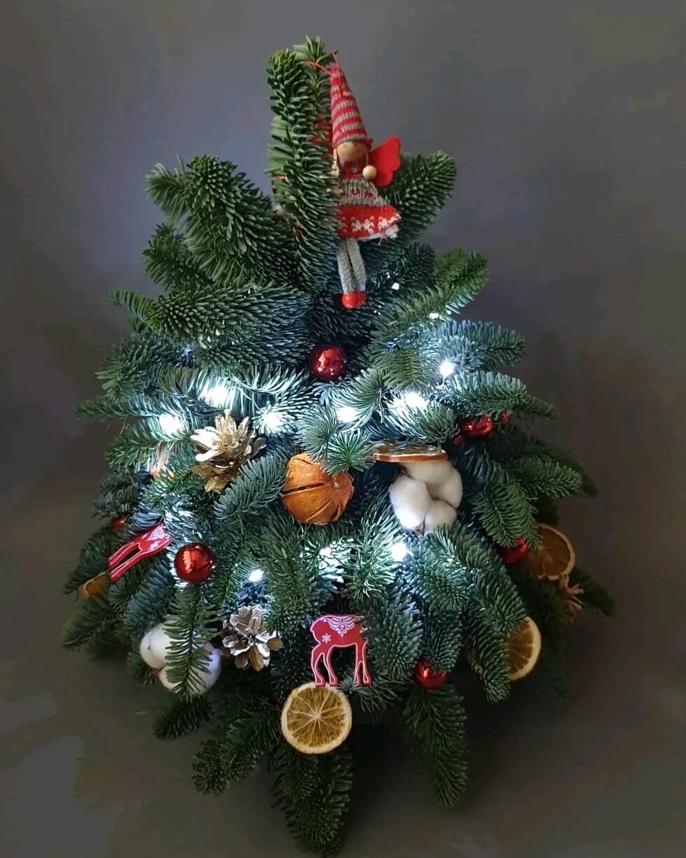 Датская ель нобилис. Елка из нобилиса мастер класс своими руками. Елка из нобилиса мастер класс своими руками. Елка из флористической губки. Елка с нобилиса.