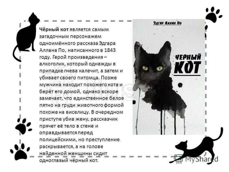 День черного кота. Стихотворение про черного кота. Международный день черного кота. Описание черного кота. Черная кошка содержание