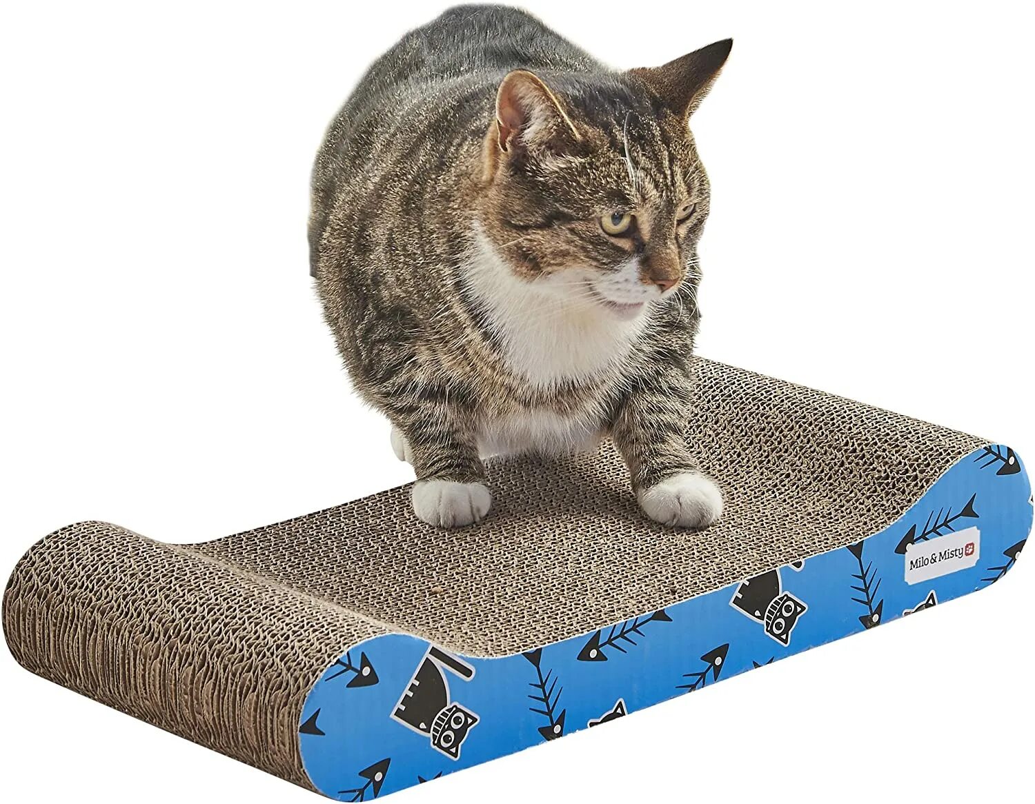 Cat scratcher. Коврик когтеточка круглый. Cat Set когтеточки. Cat Scratch Board. Cat Scratch Board с шариками.